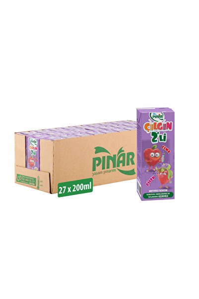 Pınar Çılgın İkili Elma Çilek 200 ml x 27 Adet