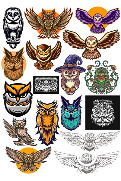 Reysa Tasarım مجموعة ملصقات Owl OWL-16 مكونة من 17 قطعة للهاتف والكمبيوتر الل...