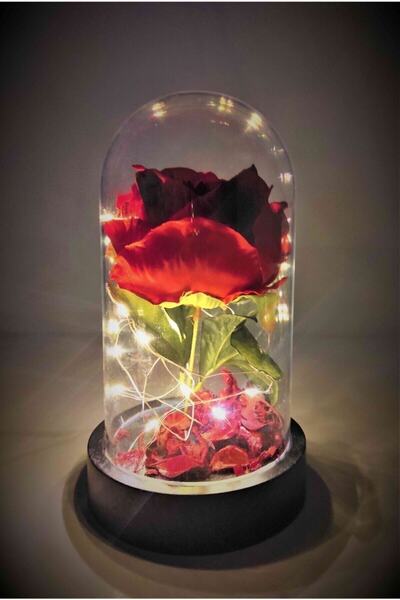 Genel Markalar Ters Fanus Tek Gül Işıklı Yıldönümü-doğum Günü Hediyesiv