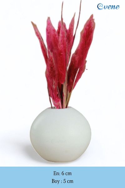 Evene Vase Small Vase Tabletop Vase Home Decoration Vase White Color Model 17