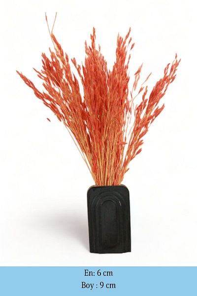 Evene Vase Small Vase Tabletop Vase Home Decoration Vase Black Color Model 18