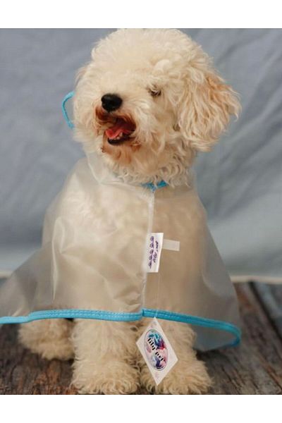 HKEVCİLPET PROFESSIONAL Transparent Cat Dog Raincoat Jacket