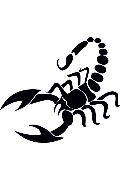 Birim Matbaa ملصق سيارة SCORPION - مقاس كبير 22x25 سم