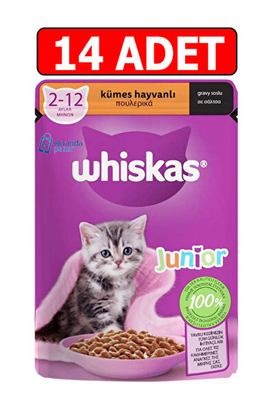 Whiskas junior kümes hayvanlı yavru kedi yaş maması 85gr 14adet kedi ıslak ma...