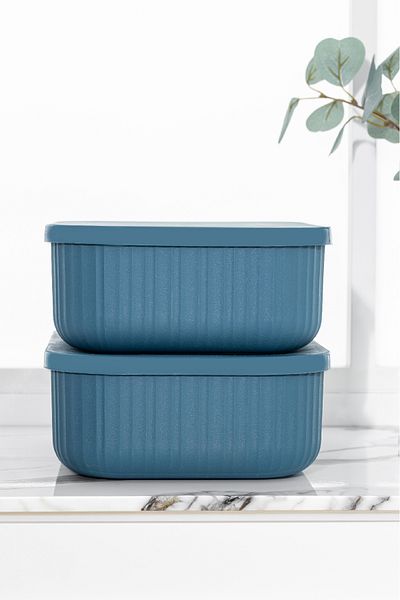 Vienev 2-Piece Line Storage Box with Lid 3.2 Liters Blue