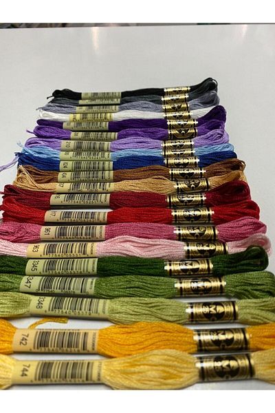 Dmc Muline Rope 20 Pieces.