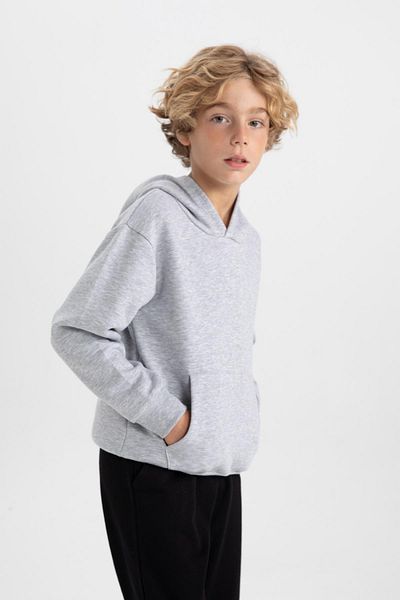 DeFacto Boy's Regular Fit Thick Hooded Sweatshirt