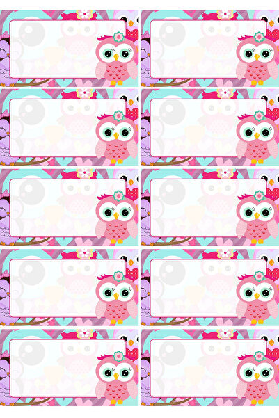 Belinay Bulutay School Label with Owl (20 Pieces)