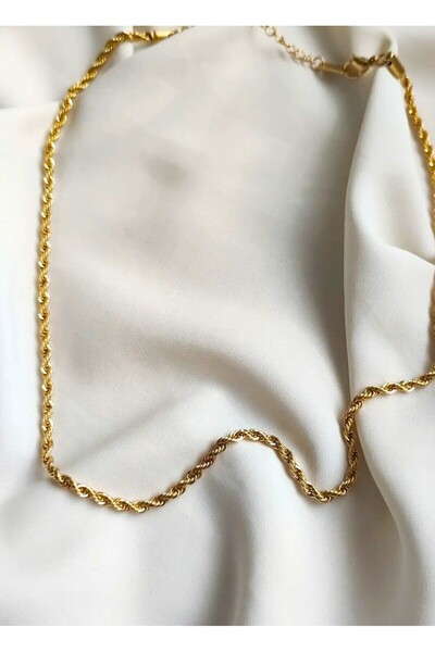 staınless steel Hestia Burgu Zincir Kolye