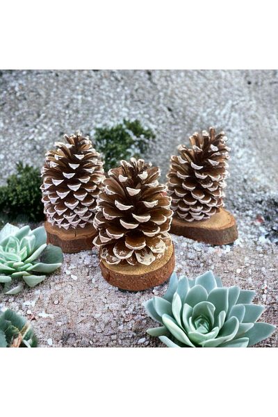ART PINE NEW YEAR'S SET OF 3 NATURAL NATURAL TREE CHRISTMAS DESKTOP BARNISH DECORATION