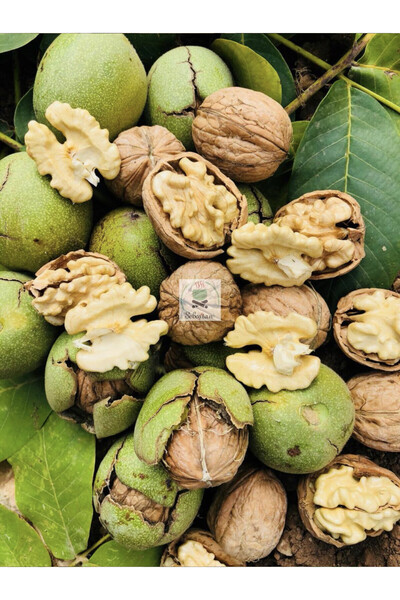 Seboş’tan Kabuklu Yaş Ceviz