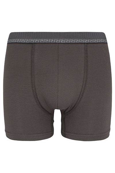 biyokids Bio Xtreme Ανδρικά Boxer 3 Pack Cotton Byo3104 3 Pack Smoked