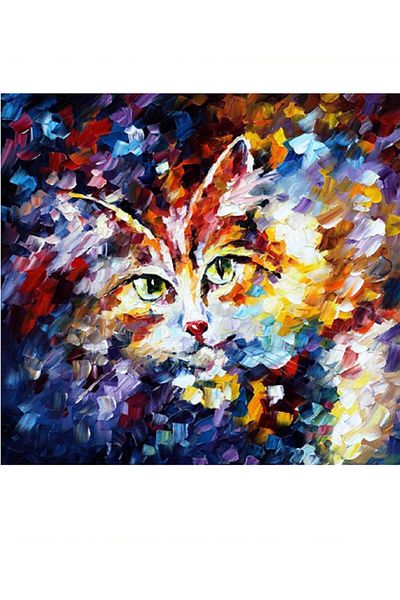 dialands Cat
