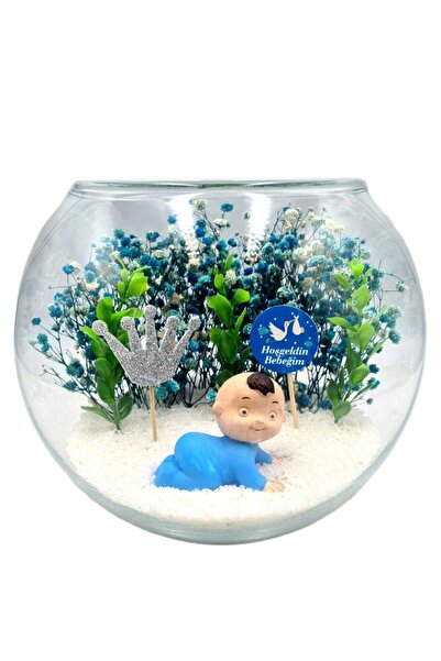 Çiçek Tasarım Sanatları Terrarium Welcome Baby Boy, Gift for a Friend
