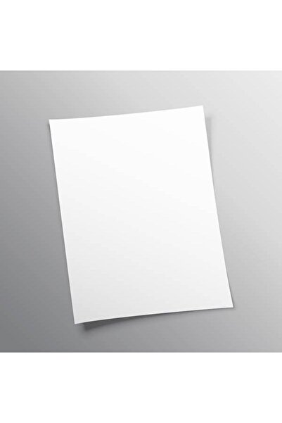 Genel Markalar 100 Adet A4 210 gr Amerikan Bristol Kağıt Karton (1,3 KG)
