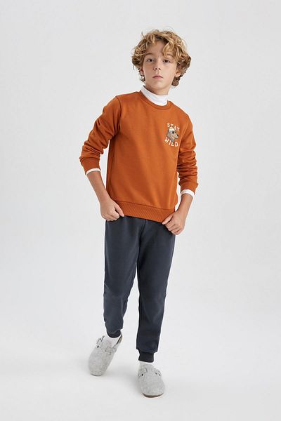 DeFacto Boy's Back Printed Long Sleeve Pajama Set