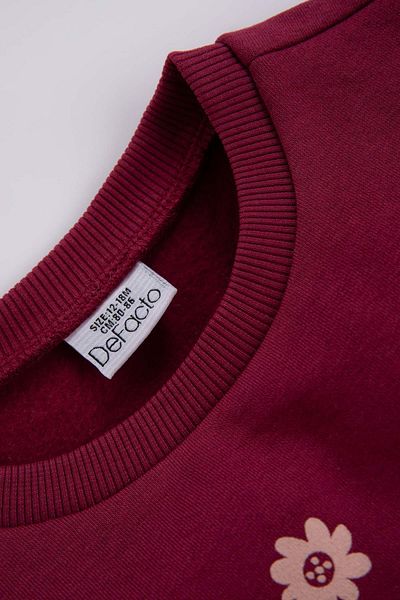 DeFacto Dívčí mikina Regular Fit Crew Neck Silná