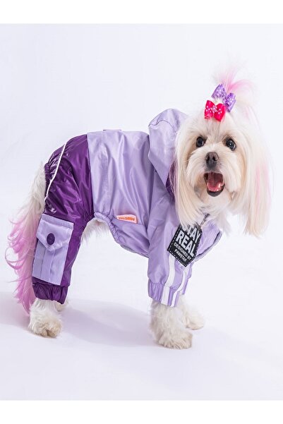 Pawstar BiColor Küçük-Orta-Büyük Irk Tulum Yağmurluk