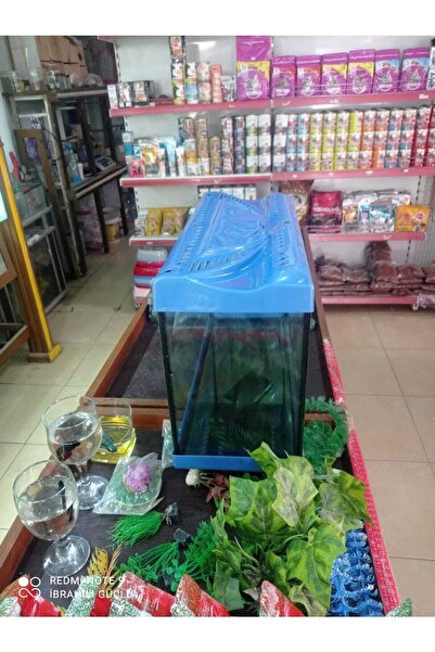 Genel Markalar 35cm Akvaryum Kırmızı Beyaz Siyah Sarı Mavi (35x25x15)