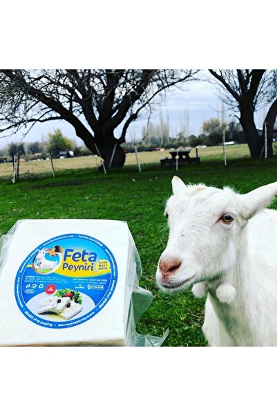 Zeytinli Keçi Çiftliği Feta Keçi Peyniri 450 Gr. (YAĞI ALINMAMIŞ %100 KEÇİ SÜTÜNDEN, ŞİRDEN MAYALI, KAYA TUZLU)