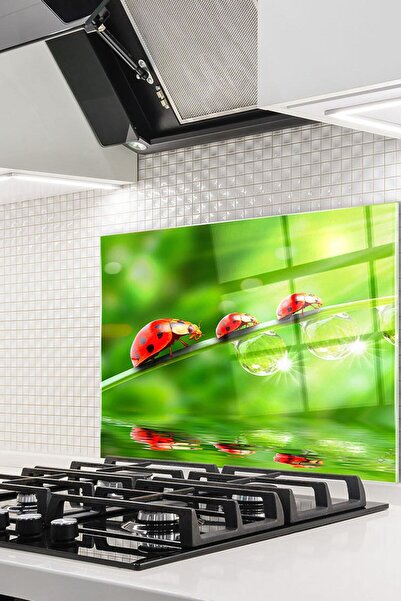 Genel Markalar Cam Ocak Arkası Koruyucu Ankastre Arkası Koruyucu | Uğur Böceği