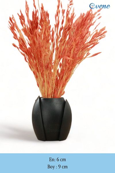 Evene Vase Small Vase Tabletop Vase Home Decoration Vase Black Color Model 14