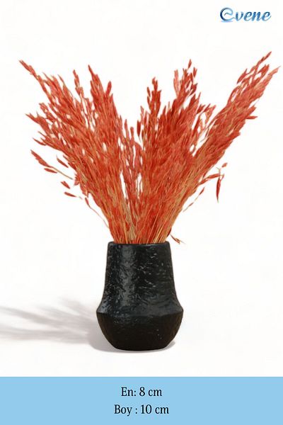 Evene Vase Small Vase Tabletop Vase Home Decoration Vase Black Color Model 11