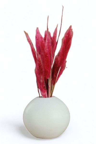 Evene Vase Small Vase Tabletop Vase Home Decoration Vase White Color Model 17