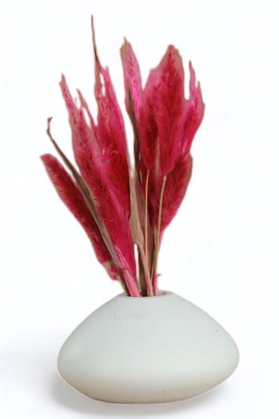 Evene Vase Small Vase Tabletop Vase Home Decoration Vase White Color Model 19
