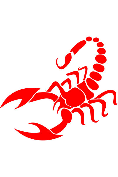 Birim Matbaa SCORPION Auto Sticker - 22x25 cm Large Size