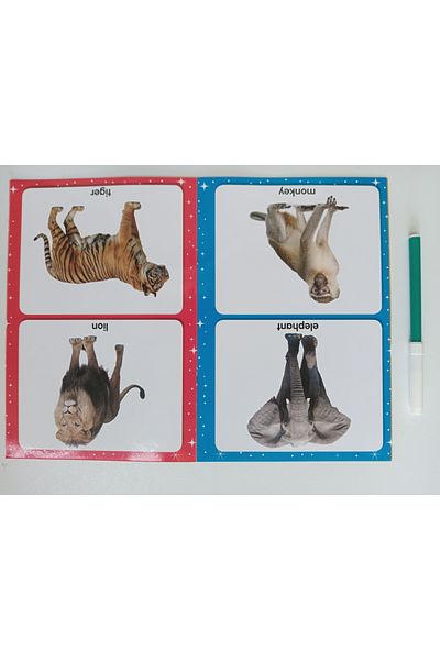 MK Publications Preschool Kindergarten English 40 Color Real Photos - 40 English Words - MY BOOK