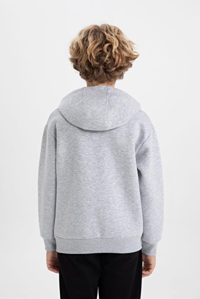 DeFacto Boy's Regular Fit Thick Hooded Sweatshirt