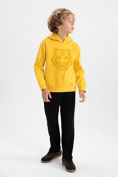 DeFacto Thick and Hooded Boy's Sweatshirt - B2044a823wn