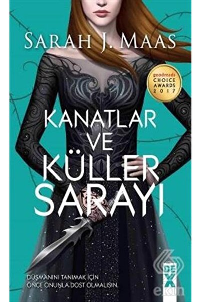 Ekin Yayınevi Kanatlar ve Küller Sarayı