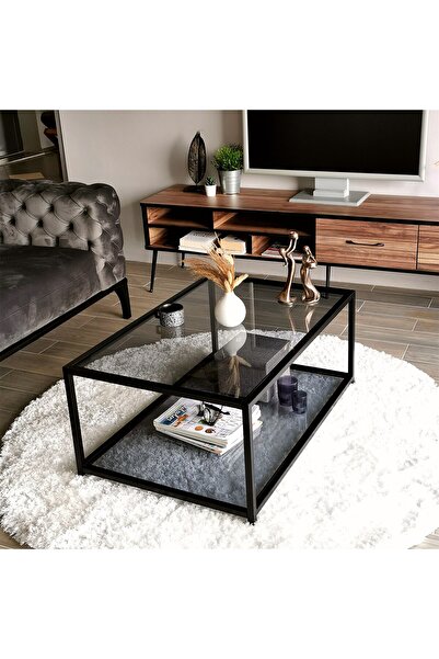 NEOstill - Astro Sehpa / Füme Temperli Cam S400f