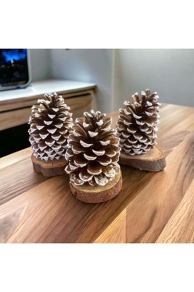 ART PINE NEW YEAR'S SET OF 3 NATURAL NATURAL TREE CHRISTMAS DESKTOP BARNISH DECORATION