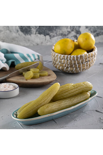 hayriye ana yöresel ürünler ACUR TURŞUSU 1200 CC