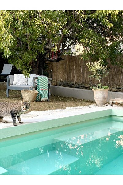 KARAKRAL Green Checkerboard Patterned Single Jacquard Pique