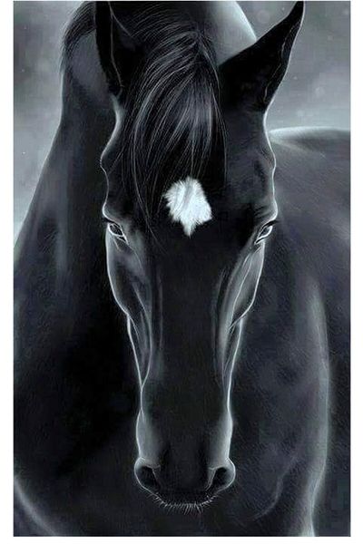 dialands Black Horse