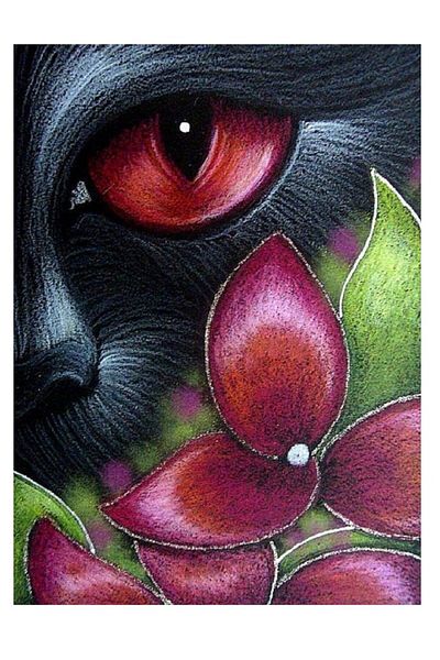dialands Cat