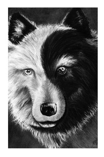dialands Wolf Design