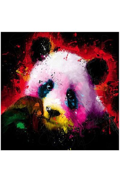 dialands Panda
