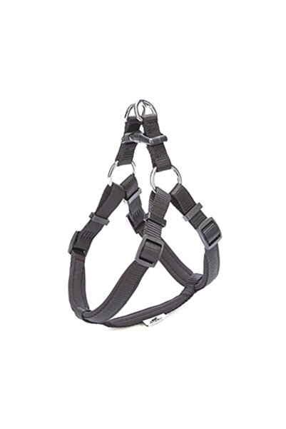 Doggie Comfort Ronin Köpek Bel Tasması