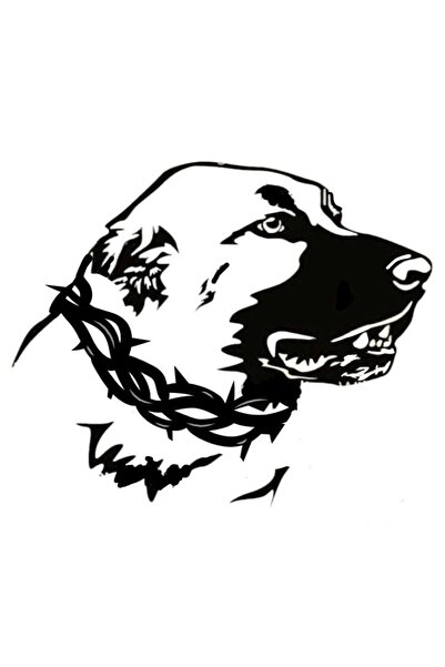 EYBA STİCKER Kangal Köpeği sticker traktör araç kamyon araç oto köy köpek