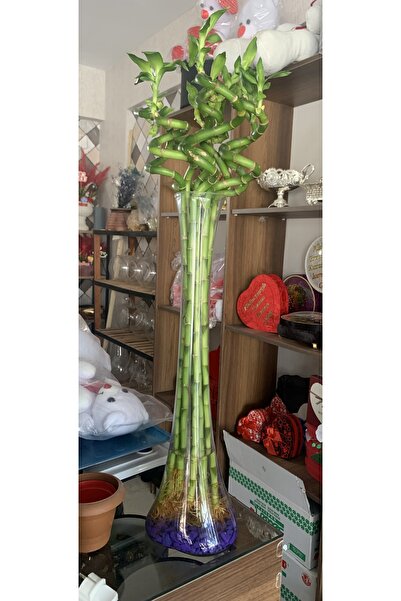 Çiçek Bambu 70 Cm