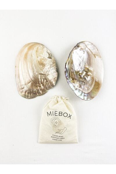 MieBox Incili Deniz Kabuğu Macabe Tütsülük