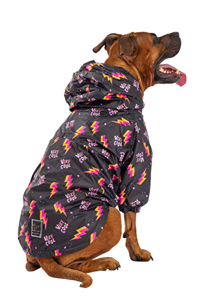 Pawstar Küçük,Orta ve Büyük Irk Köpek Montu