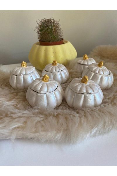 VioletKonseptt 6-PIECE PUMPY DELIGHT PRESENTATION