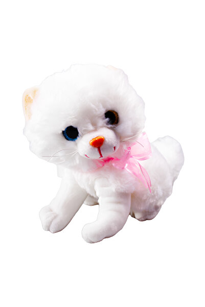 KIZILKAYA Ayakta Miyavlayan Kedi