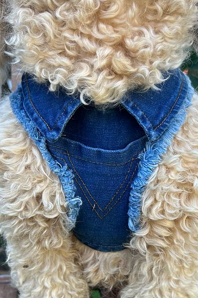 Globodepo Blue Denim Jeans - Collared, Dog Collar, Harness Anti-Escape, Chest Body Collar Adjustable